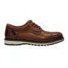 Aubin Shoe