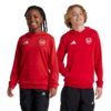 Arsenal Hoodie 2024 2025 Juniors