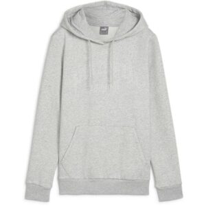 Ess+ Logo Lab Hoodie Fl Hoody Womens