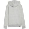 Ess+ Logo Lab Hoodie Fl Hoody Womens