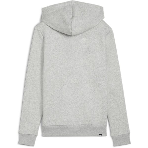 Ess+ Logo Lab Hoodie Fl Hoody Womens