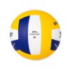 Strike Volleyball