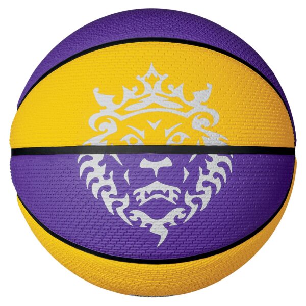 Lebron Playground