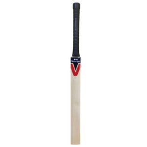 Technique Cricket Bat